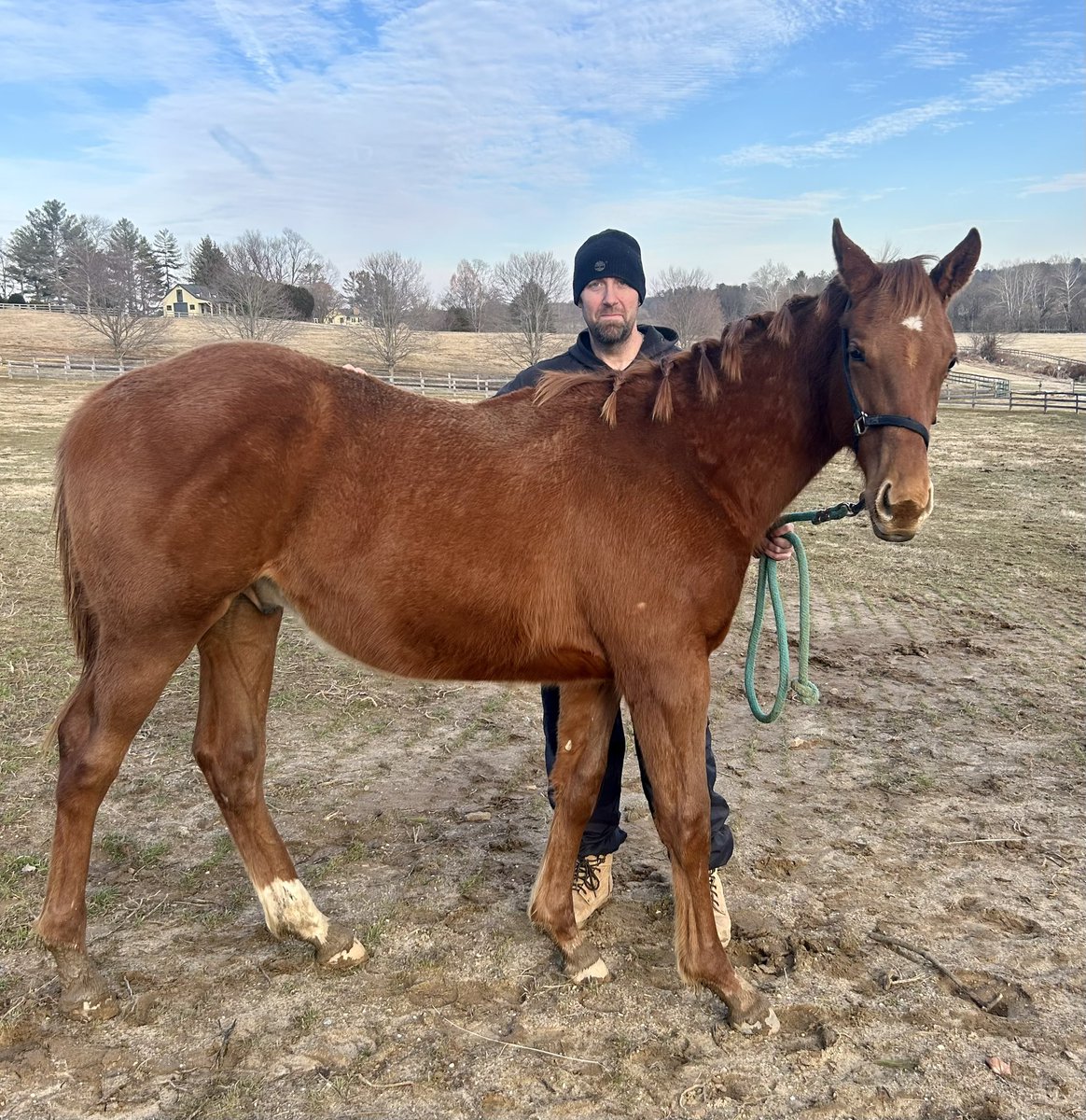 Chris Brown tweet media