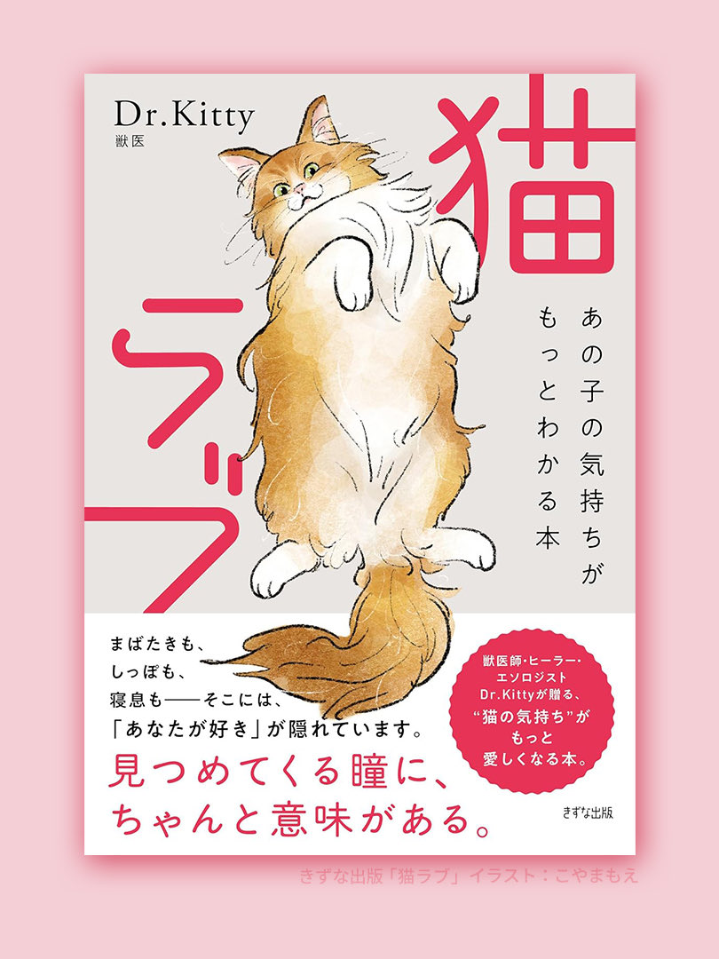 表紙案の猫ちゃんたち🐈‍⬛ キジトラは裏表紙に使っていただきました✨