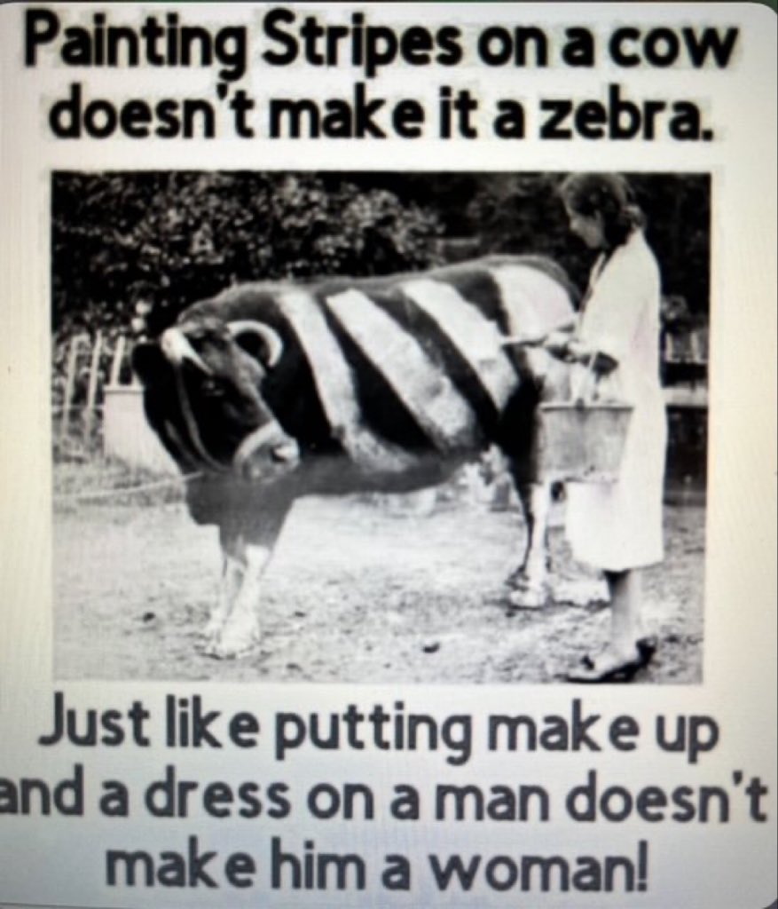 Gina💄🇺🇸 (@gpatterson828) on Twitter photo 