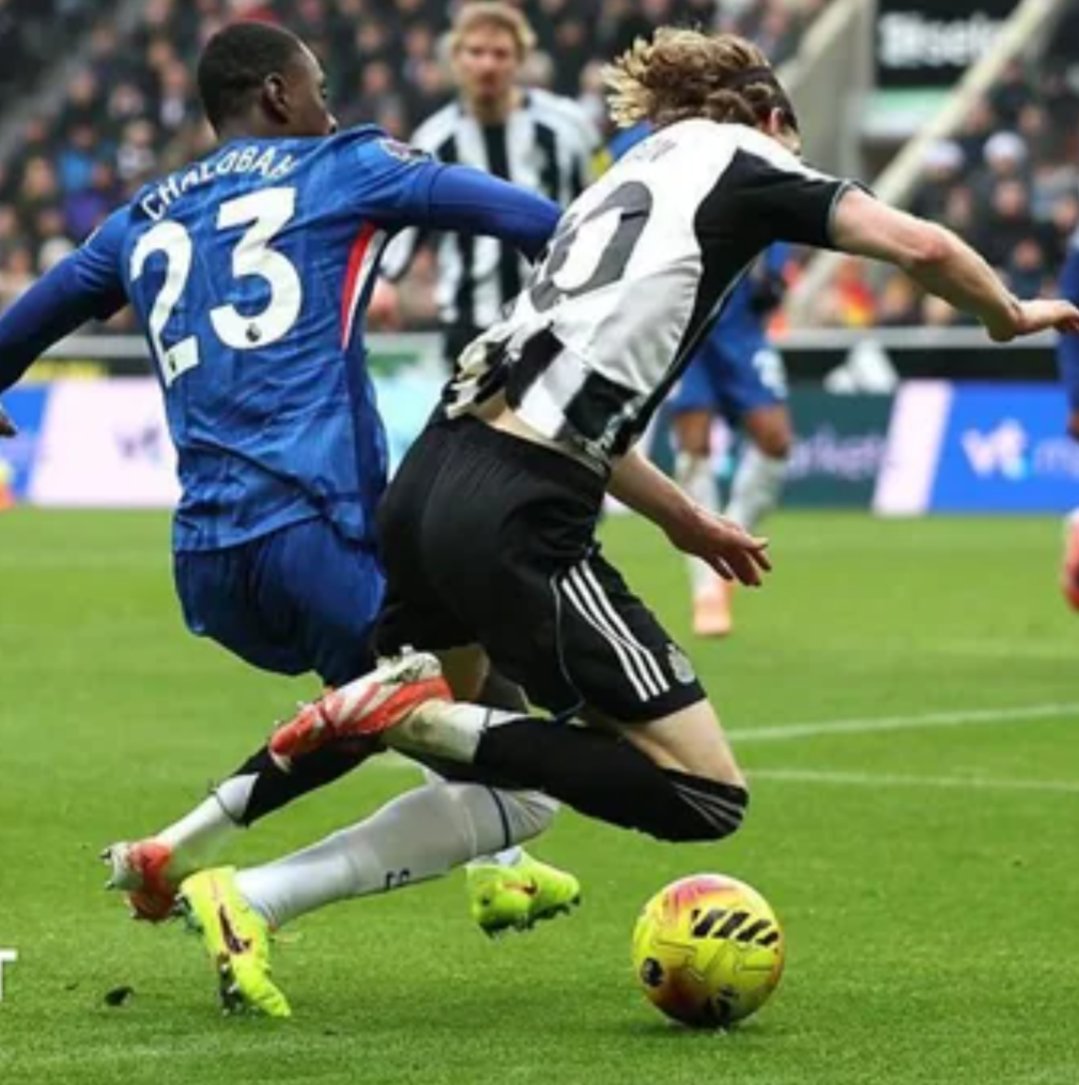 Magpie 24/7 tweet media