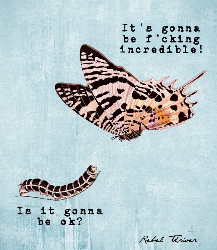 CookieKL's tweet image. #PositiveVibes #Incredible ✌️
 🦋🤘🔥🩷🦋😊🥰🤍