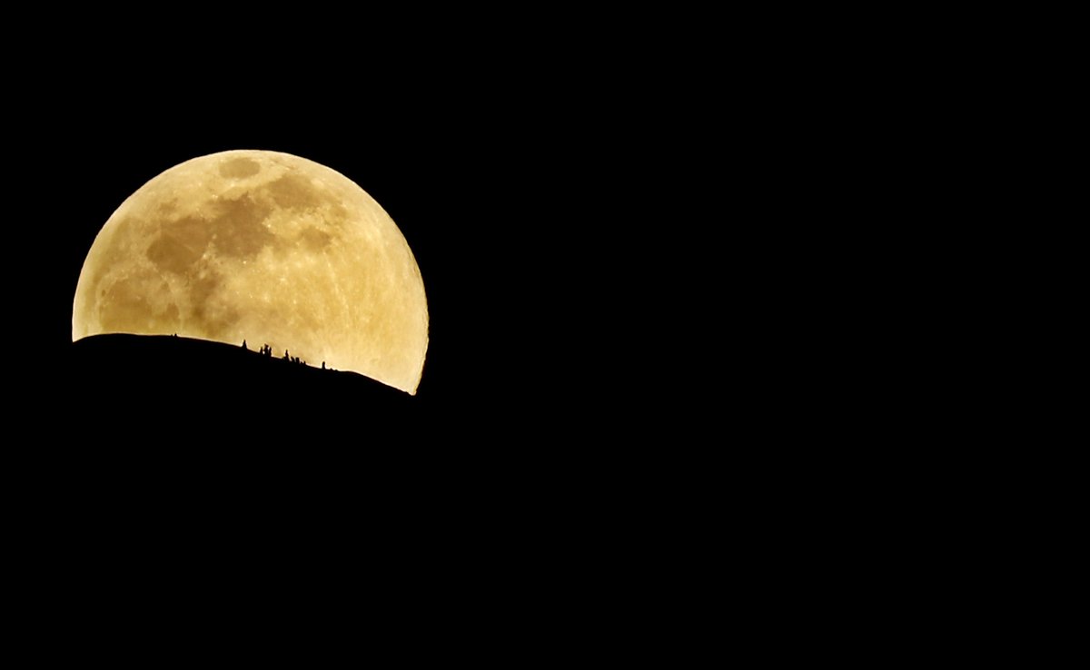 Feyiz Ermiş tweet media