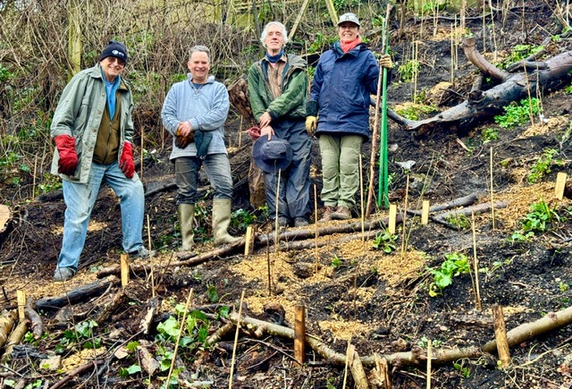 February's volunteer morning was at the Lasseter Place part of the Woodlands.  Dozens of tree saplings were planted and the damp weather was perfect conditions for them. Hot refreshments were organised by committee member Gail Stirling. Fresh woodchip was added to the paths.