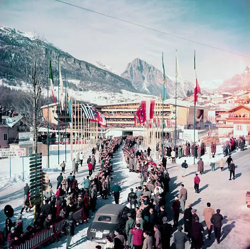 Trump Fact News 🇺🇸 tweet media