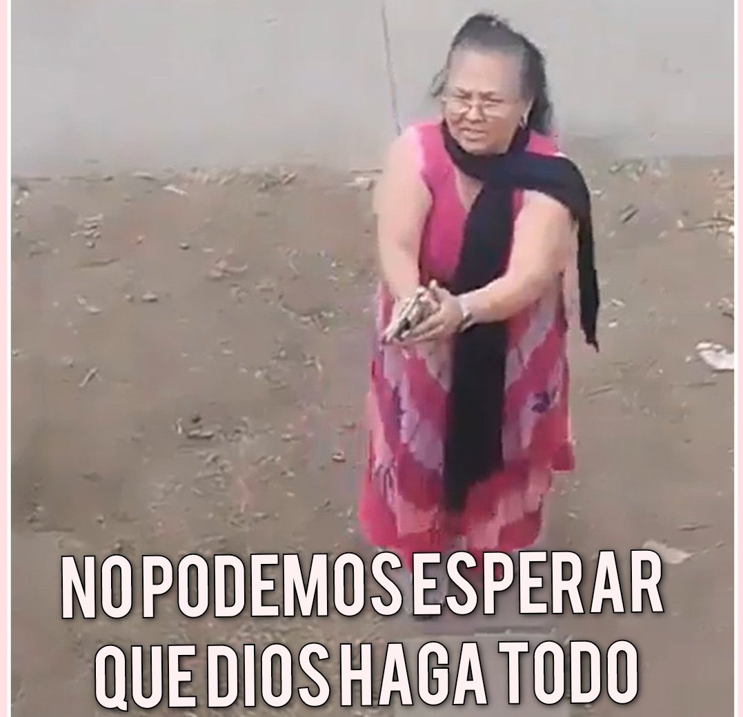 Ech 🇲🇽 tweet media