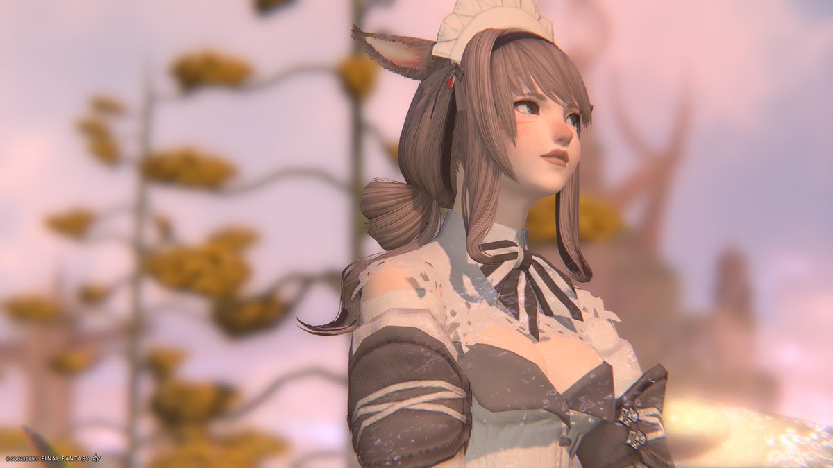 obsequiouspup's tweet photo. ⋆𐙚 ̊

#VanillaGPOSERS | #consolegposers  | #PlayStation4 | #Miqote | #GPOSERS | #FFXIV | #PhotosOfEorzea | #XIV_PICTCLIP https://t.co/9dpDXYEvy7