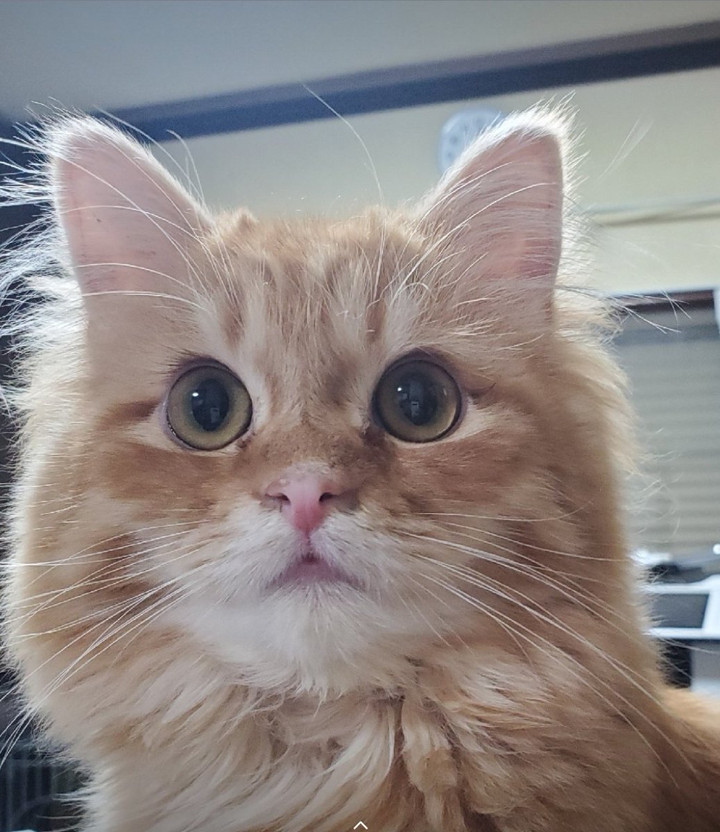 タムタム (@tamtam22d) / Posts / X