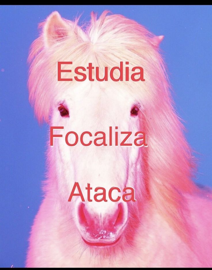 ⋆⁺₊⋆ Hilo de brujitips para aprobar esa materia que los vuelve locos⋆⁺₊⋆