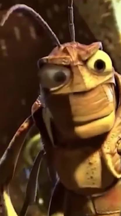 Carlos Luvisetto tweet media