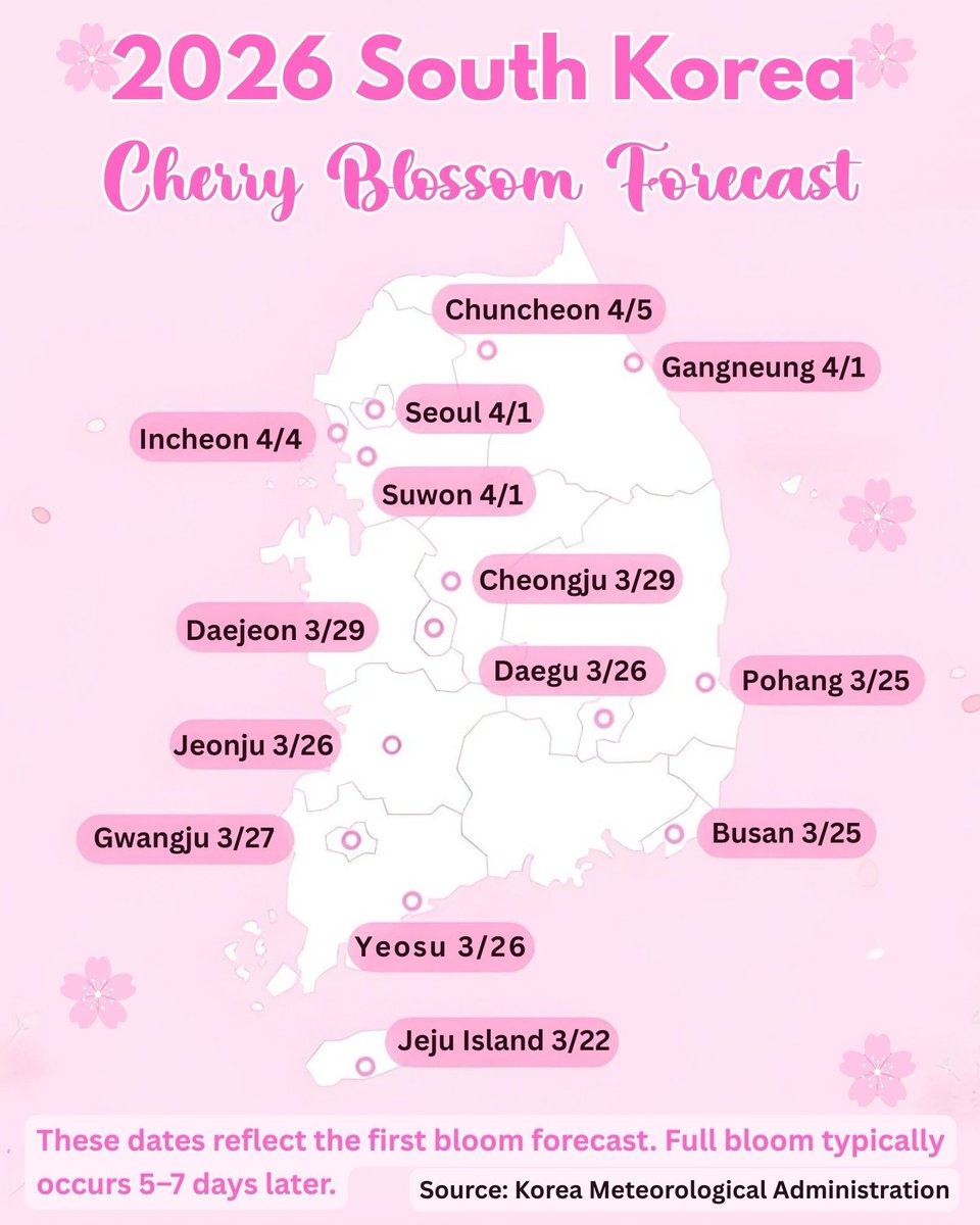 Korean Topik tweet media