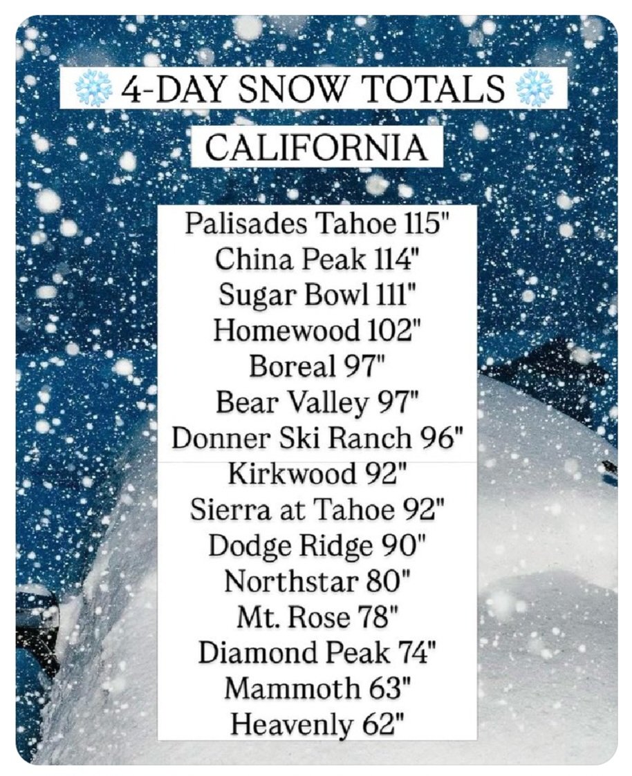 DPH01 (@kona_k9) on Twitter photo 