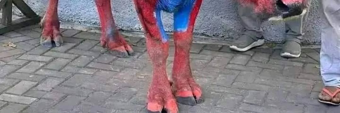 Aa7_Win's tweet photo. Cowder man