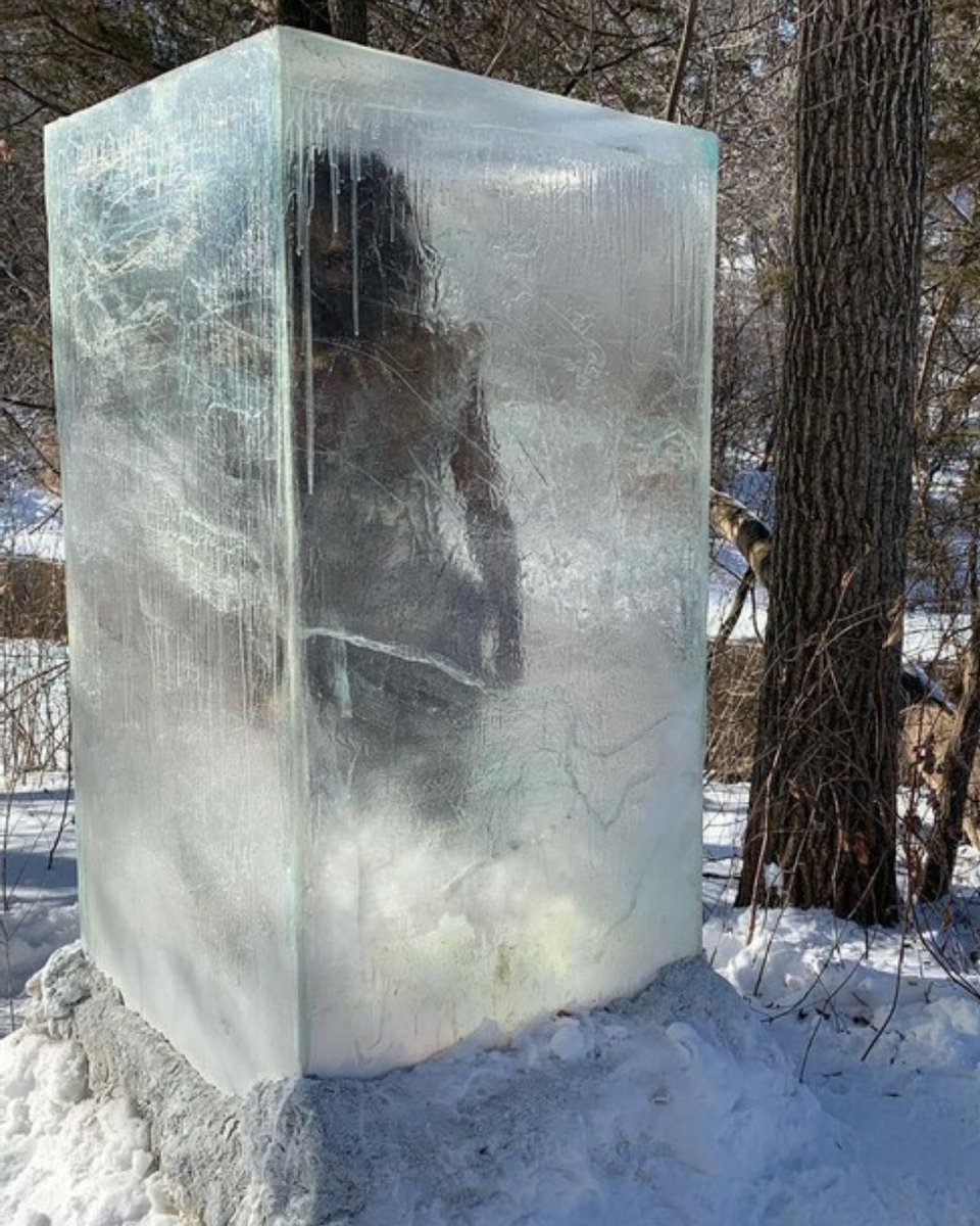 facetedcarapace's tweet photo. people from Los Angeles when it's 58°F https://t.co/gnw9D4hbSG