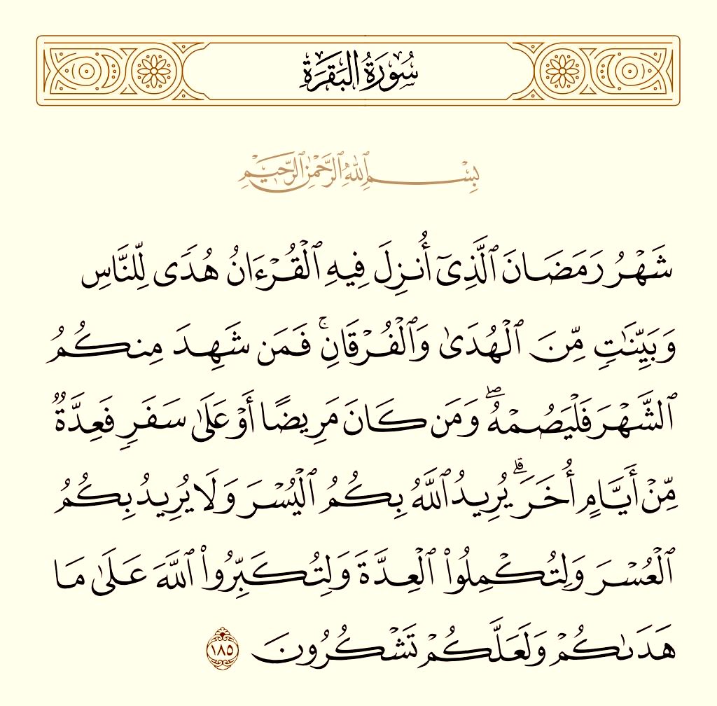 نواف محسن الشمري ابو نايف tweet media