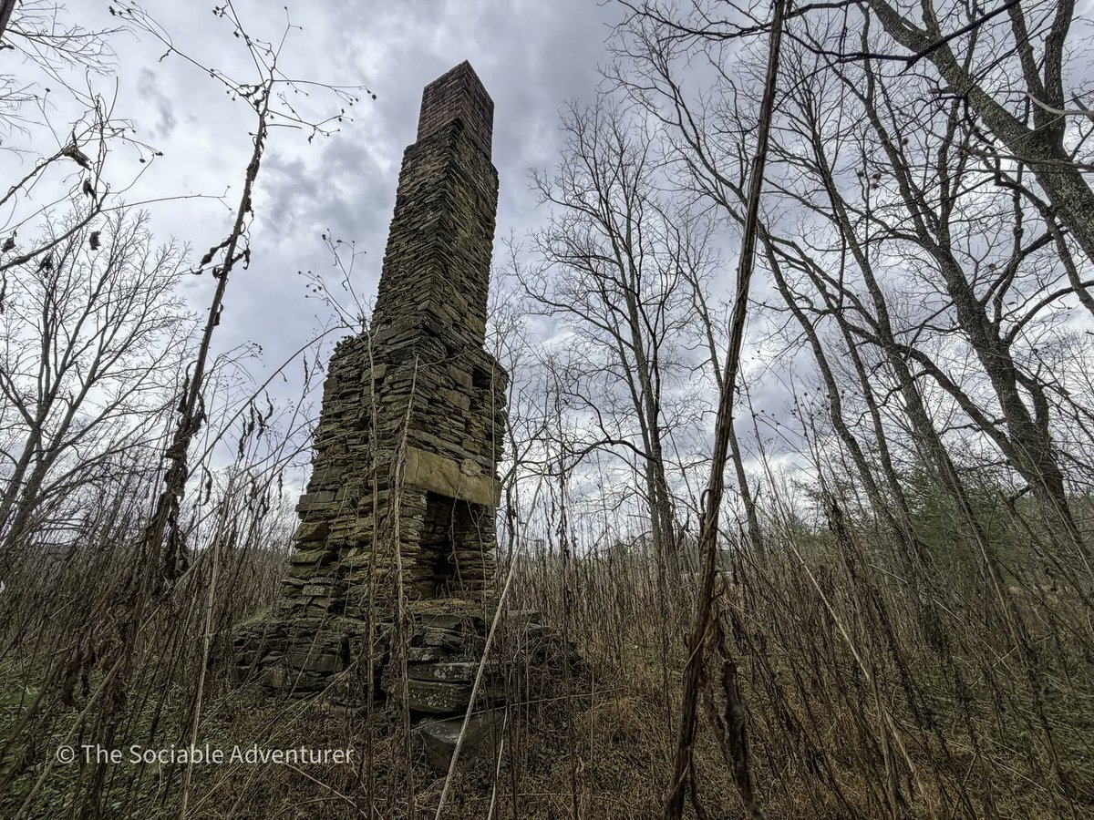 The Sociable Adventurer tweet media