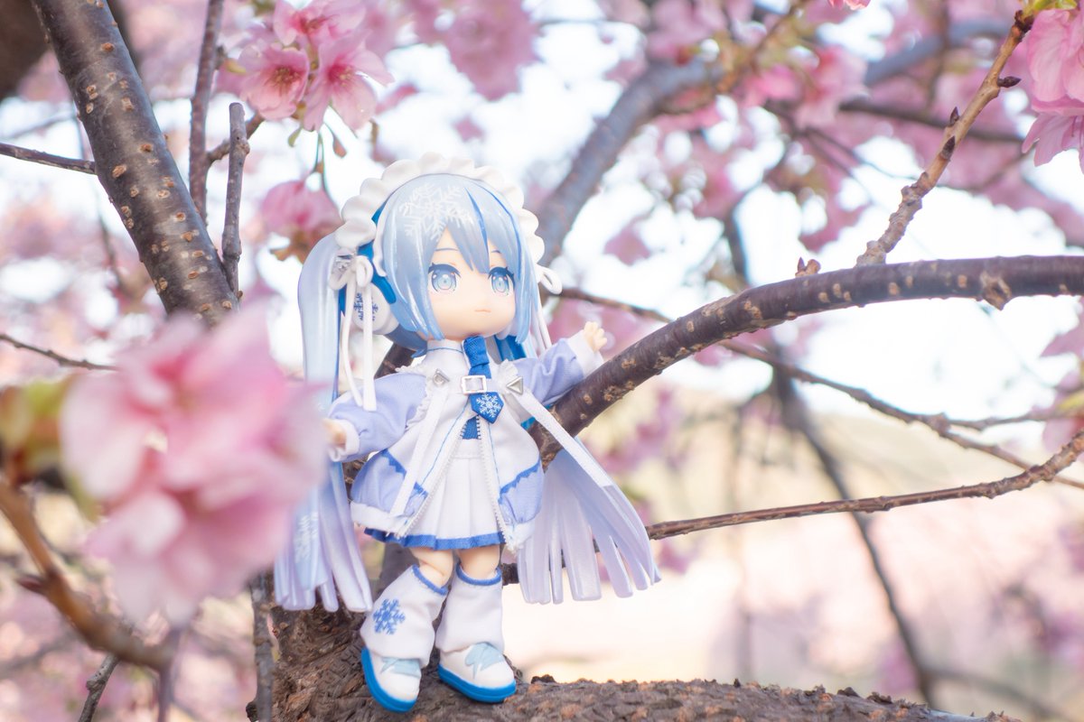 春を感じてるポップちゃん
#ねんどり #初音ミク