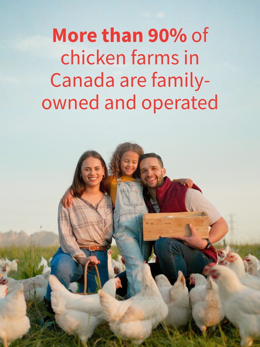Chicken farming is a skill that's often passed from generation to generation in Canada. ❤️

Meet your BC chicken farming families here 👉 chickenfarmers.ca/meet-your-farm…

#familyowned #farmer #Canada