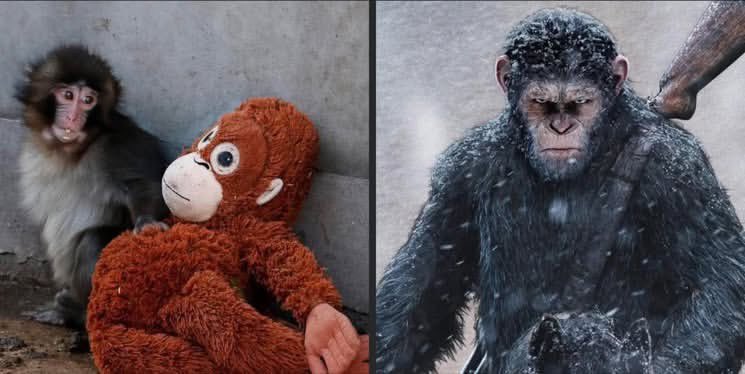 Splinter Vikingo (MODO BENDICION GITANA) tweet media