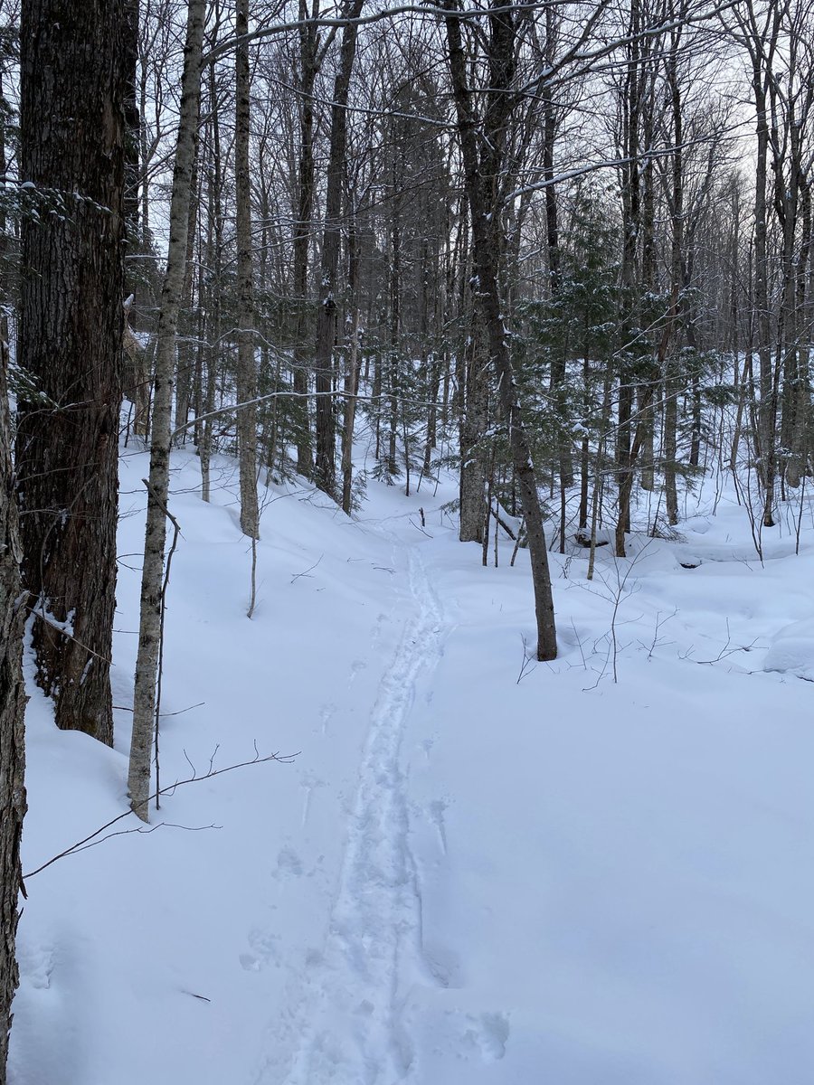 Christopher Keevil tweet media