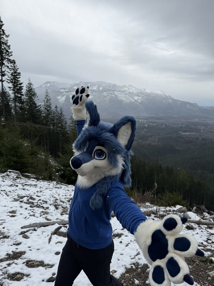 prawnzo 🐺 tweet media