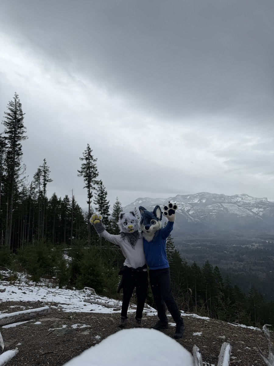 prawnzo 🐺 tweet media