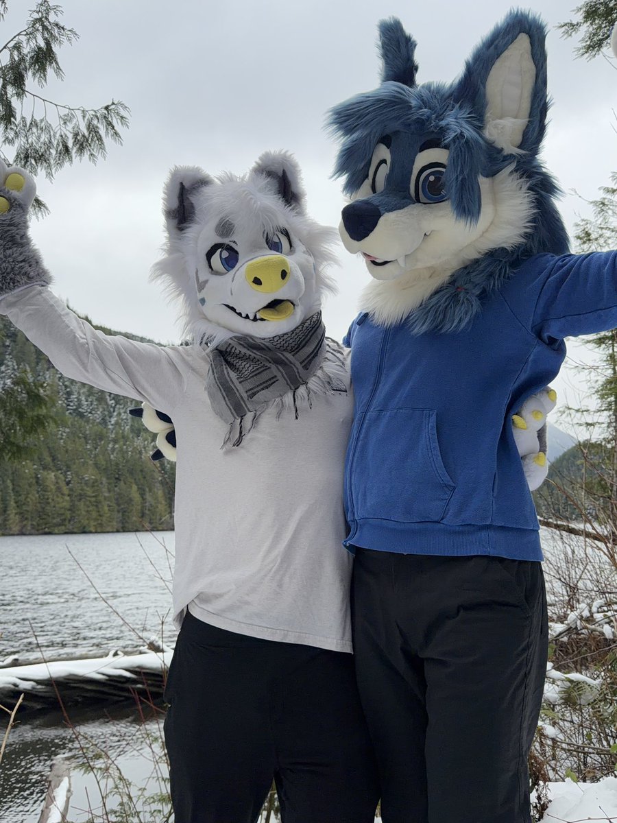 prawnzo 🐺 tweet media