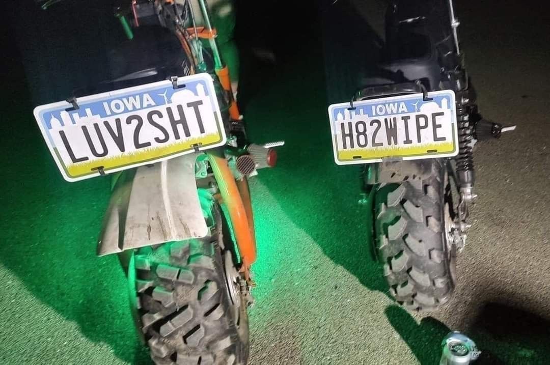 horse dentist tweet media