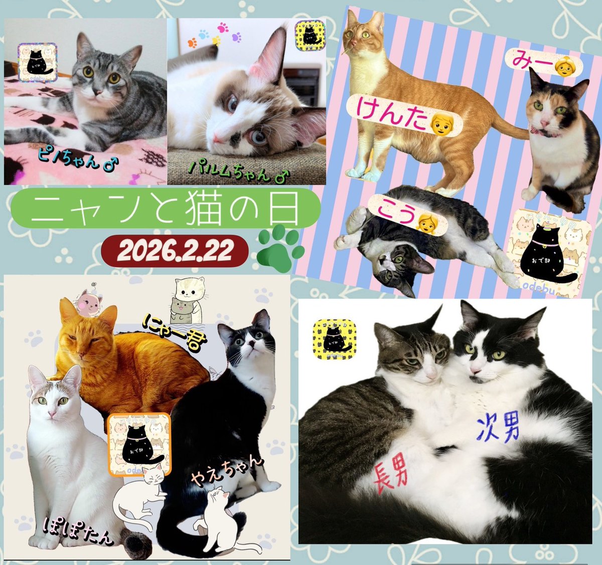 とろちゃん︎︎と🍥 (@tororo0208) / Posts / X