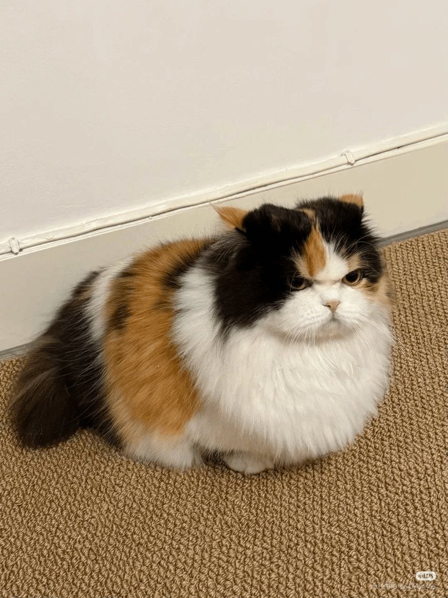 Spent the week in the tropics under beautiful sun&amp; now im home&amp; it’s a cloudy 45°