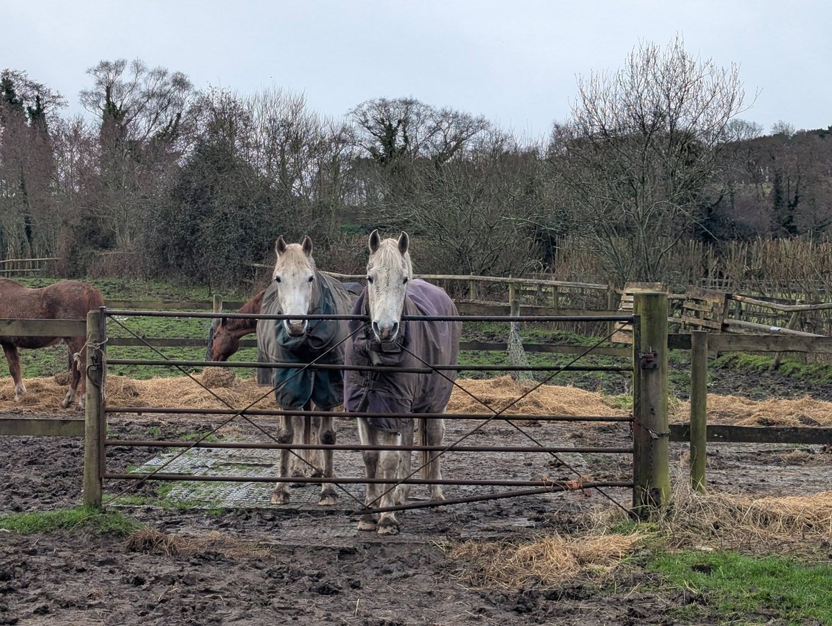 Carly and I would like to know how long breakfast is likely to be ?