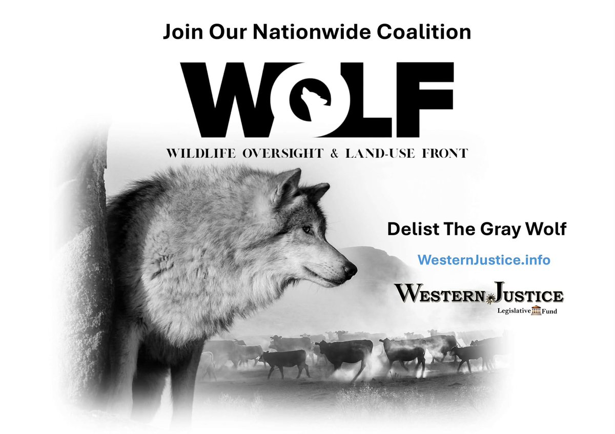 Western Justice Legislative Fund tweet media