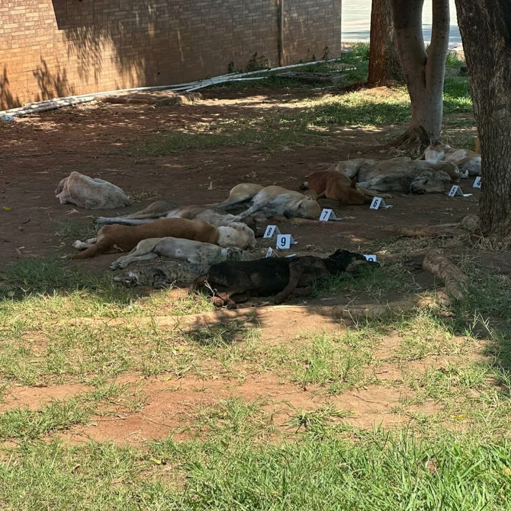 ITR Oficial tweet media