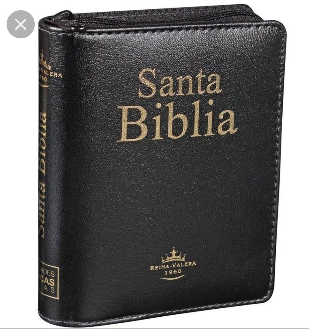 Brillo 101 tweet media