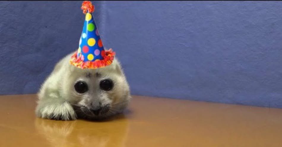 only one day a year you can repost this