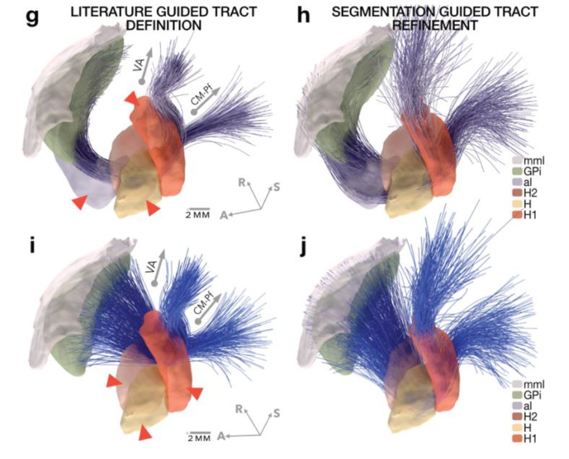 Andrew Zalesky tweet media