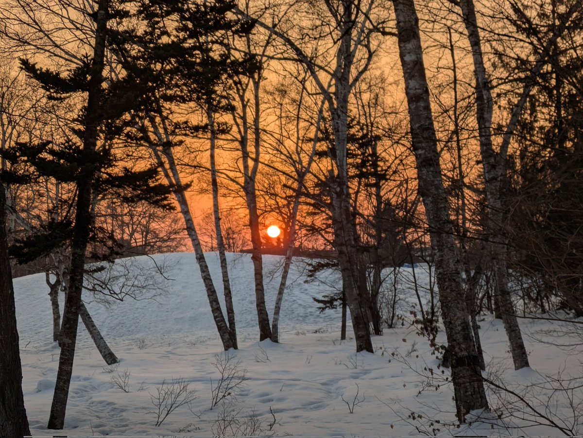 道東フェッチ tweet media