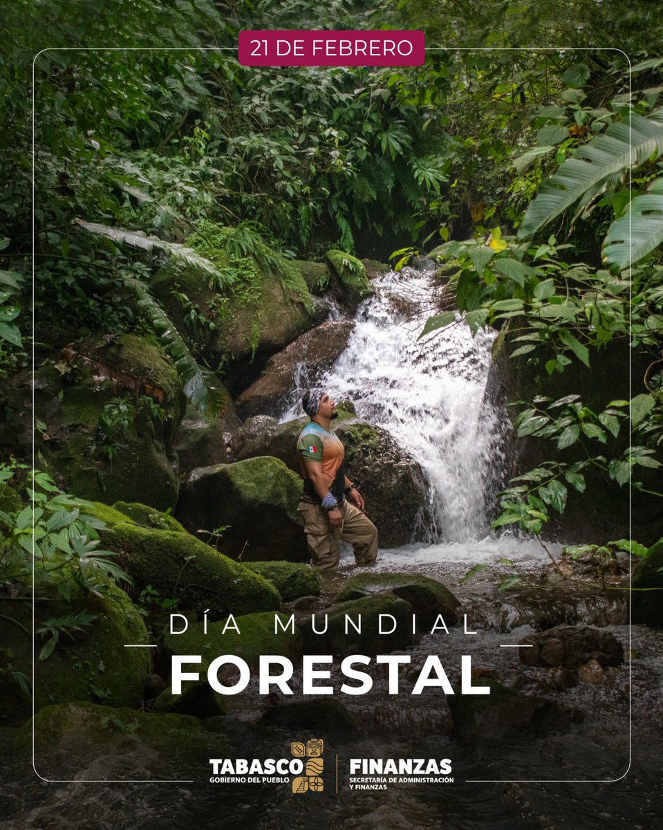 La vida florece en cada rincón de nuestra geografía con fuerza imparable. Proteger nuestra riqueza forestal es el honor de vivir en el Edén de México. En este Día Mundial Forestal, que nuestro verde infinito nos inspire a construir un futuro más sustentable.