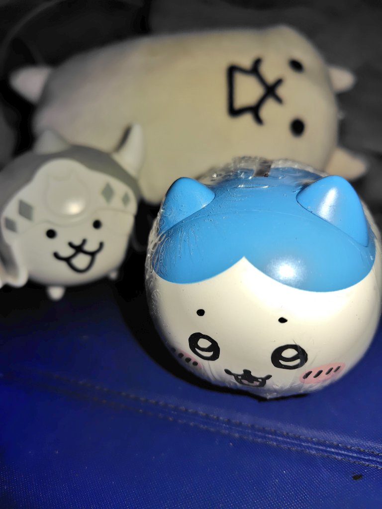 手前のハチワレガチャガチャで500円 #猫の日 #にゃんにゃんにゃんこ