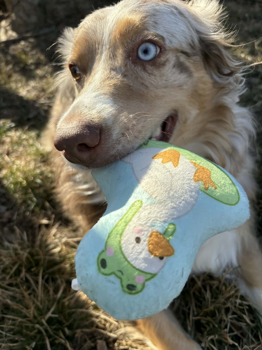 LittleRavine tweet media