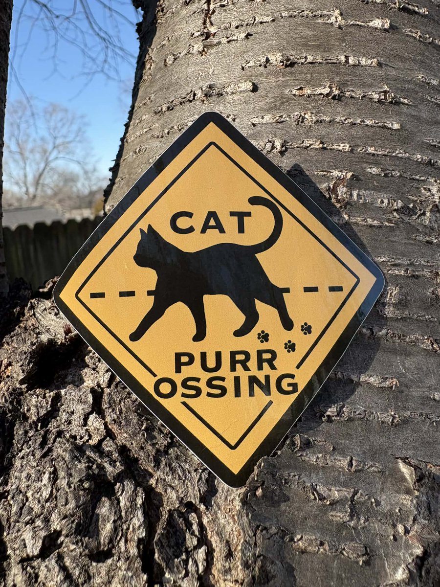 LittleRavine tweet media