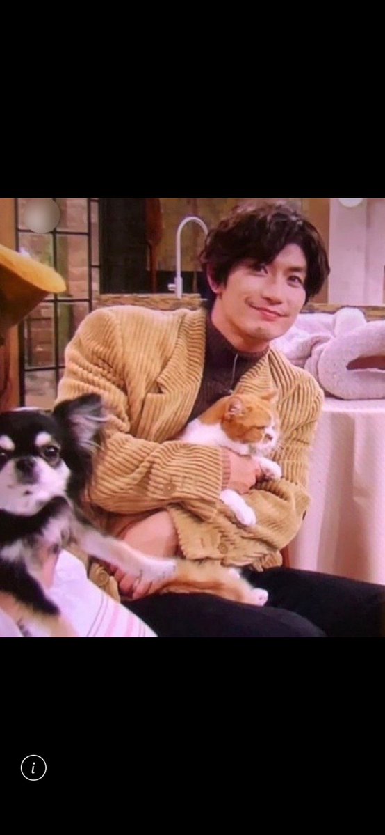 猫の日 三浦春馬さんは、「#世界はほしいモノにあふれてる」で、猫の