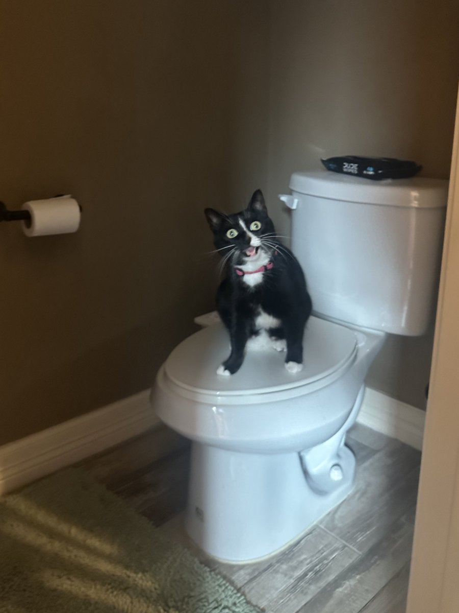 oh uh so sorry i didn’t know it was taken