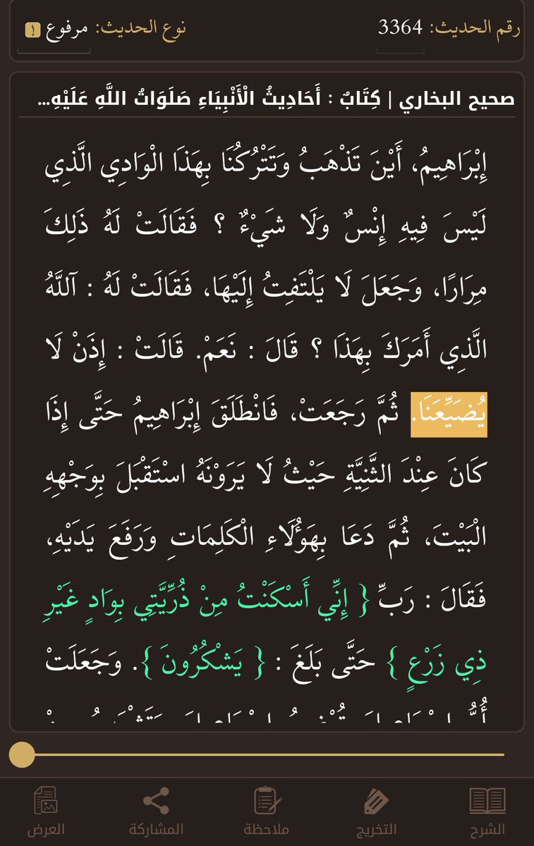 مايد tweet media