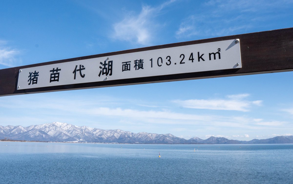 カリンさん tweet media