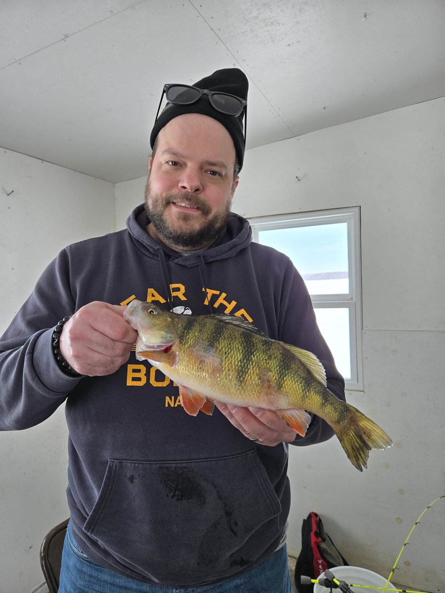 madproducer1's tweet photo. Nabbed a bunch of these larger perch today. A few smaller walleye as well. Fun first day at Ballard's! https://t.co/AuLcxYtGn5