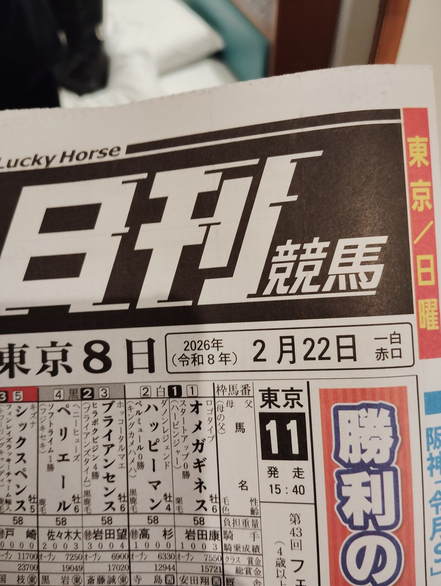 フェブラリーSも日刊競馬を🙂‍↕️