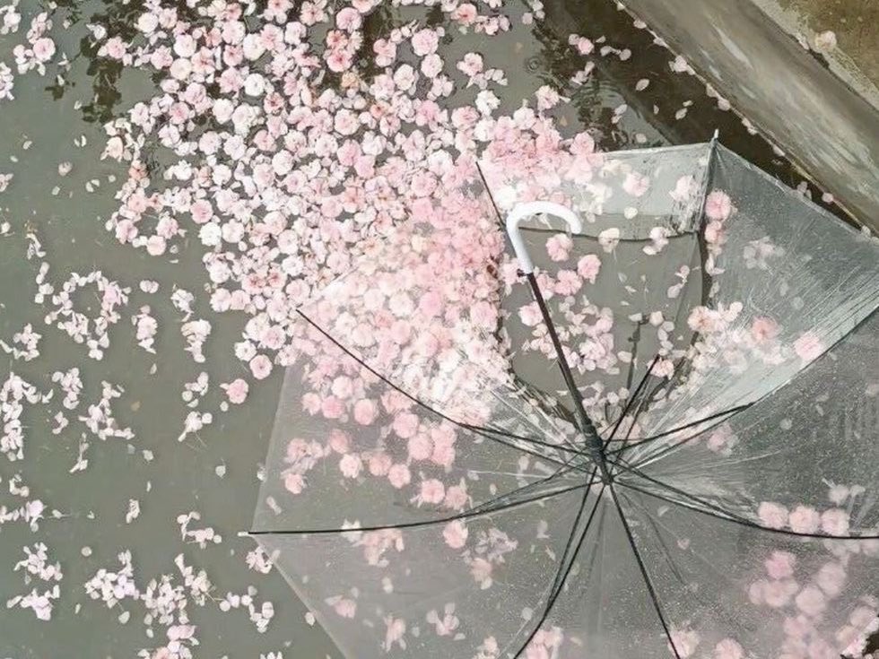 my favorite season is coming soon ♡