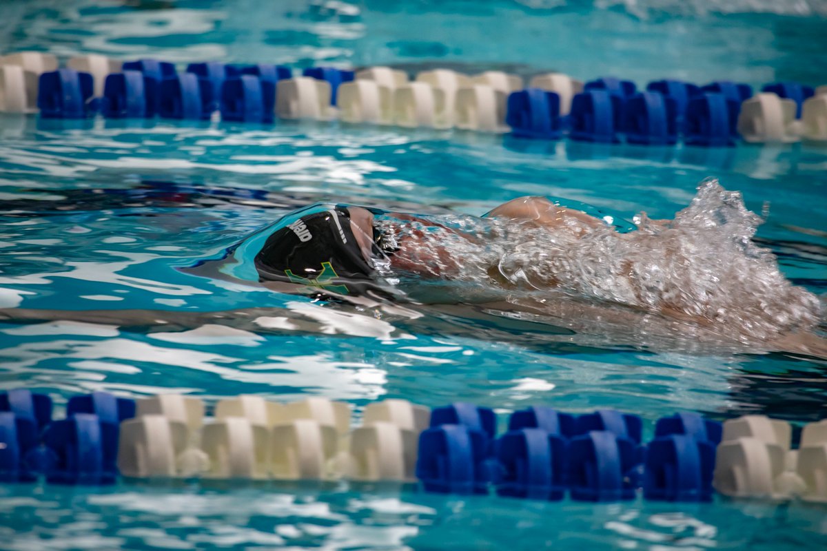 Tiger Swim & Dive tweet media