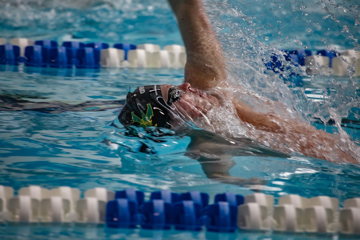 Tiger Swim & Dive tweet media