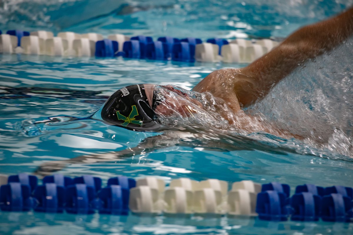 Tiger Swim & Dive tweet media